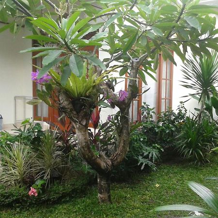 Jepun Bali Homestay Sanur Kültér fotó