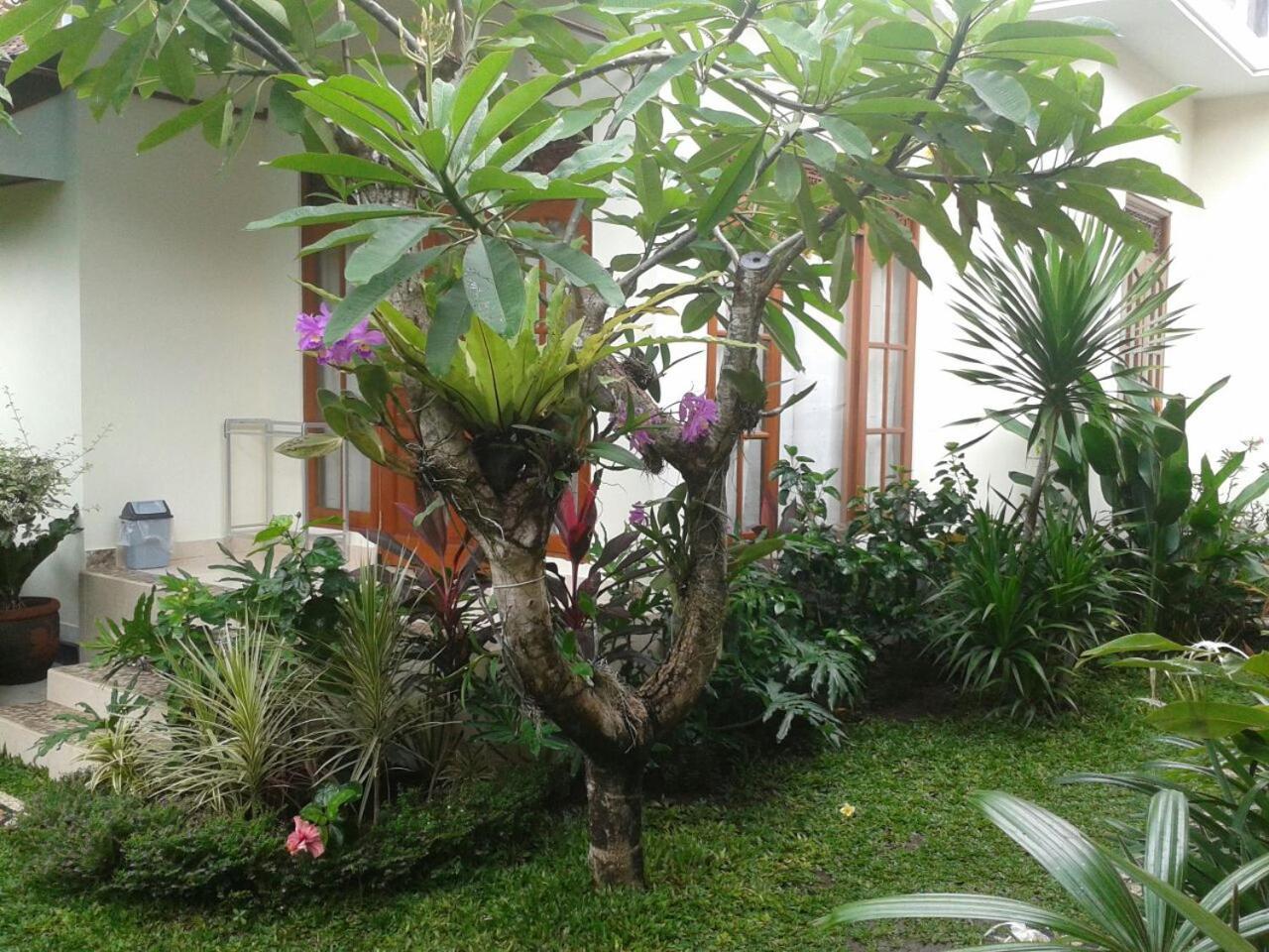 Jepun Bali Homestay Sanur Kültér fotó